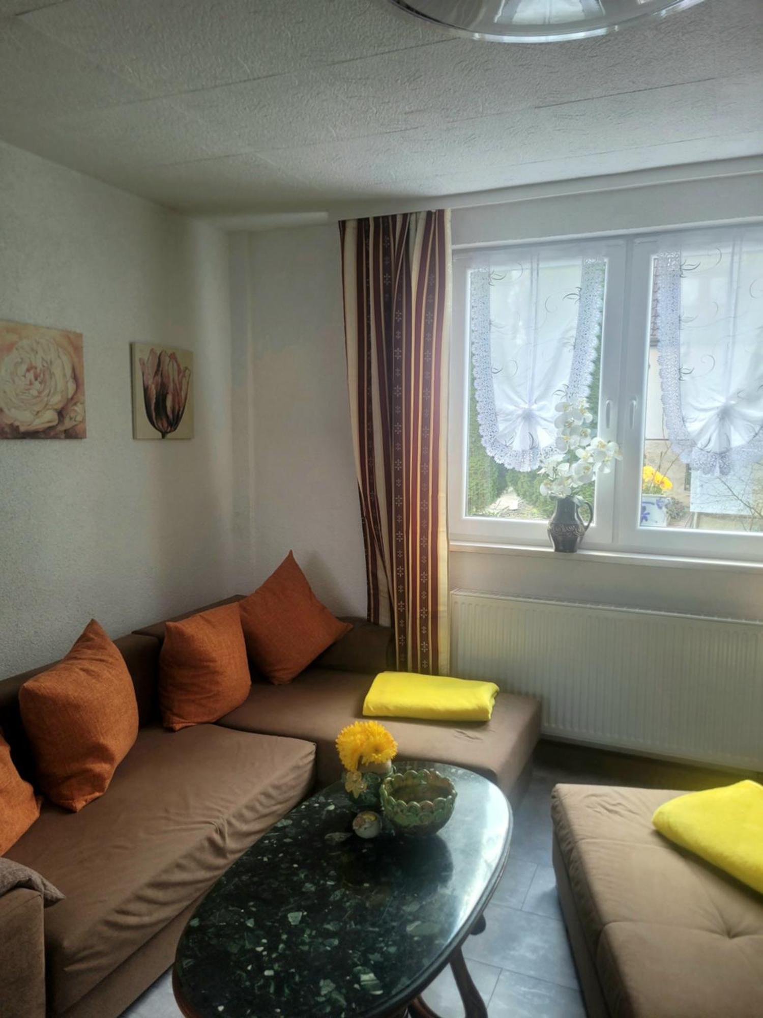 Sirisferienhaus Kurort Steinbach-Hallenberg エクステリア 写真